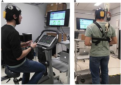 WAUC: A Multi-Modal Database for Mental Workload Assessment Under Physical Activity